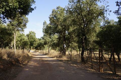 Terreno rústico com 1,5 hectares