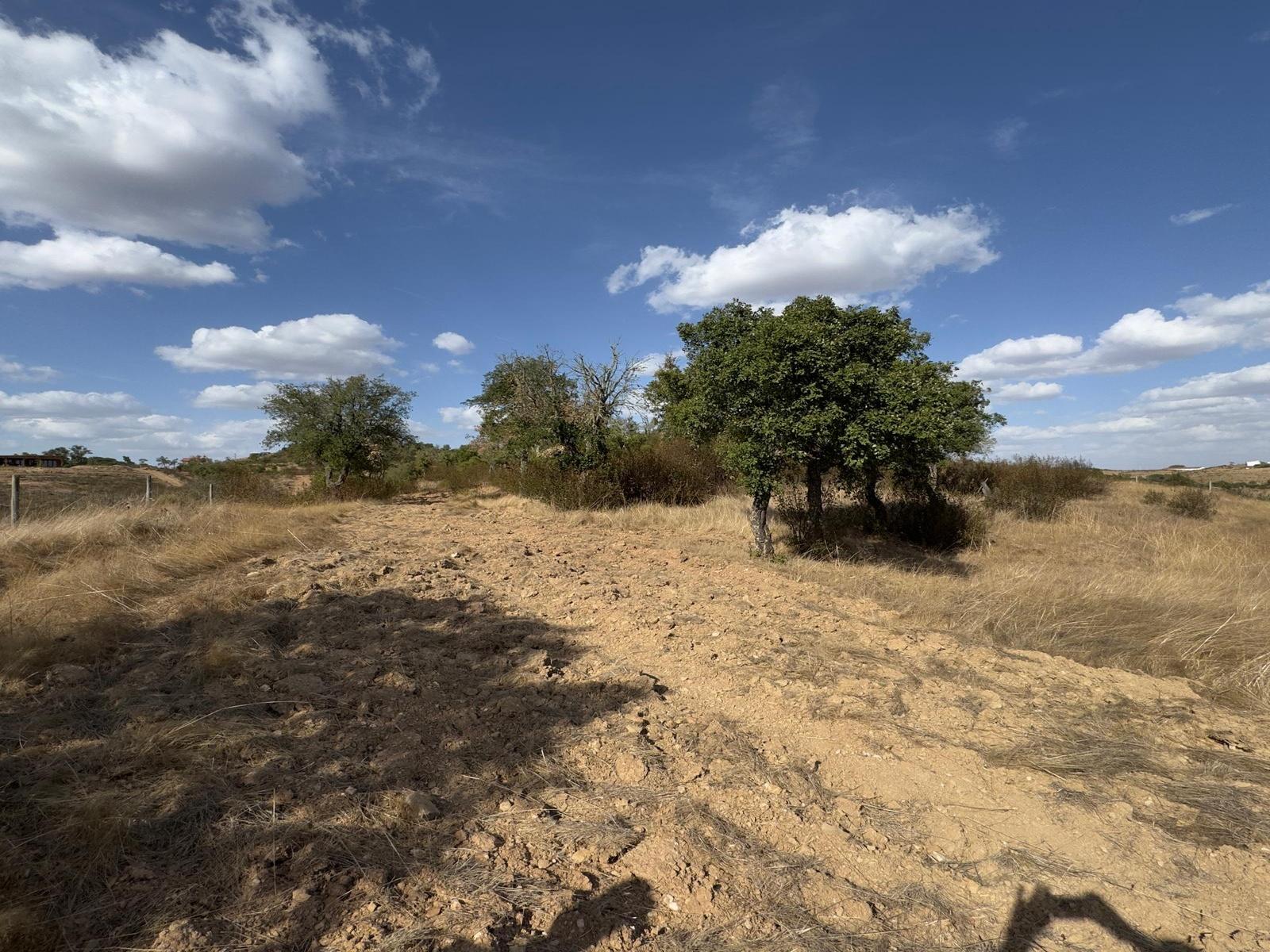 Monte Alentejano com Ruína e Vista Deslumbrante em Ourique