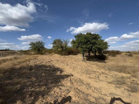 Monte Alentejano com Ruína e Vista Deslumbrante em Ourique