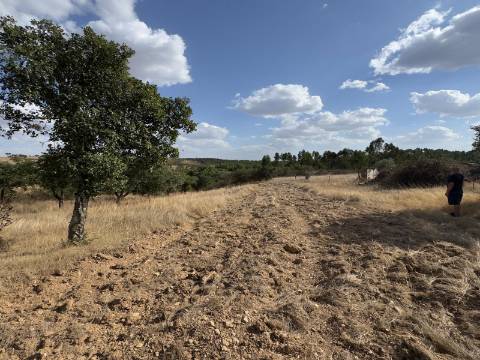 Monte Alentejano com Ruína e Vista Deslumbrante em Ourique