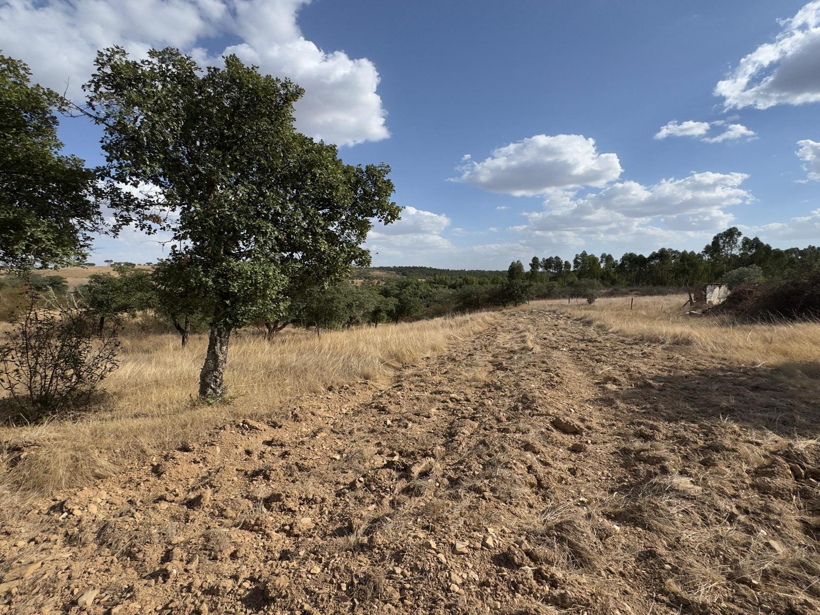 Monte Alentejano com Ruína e Vista Deslumbrante em Ourique