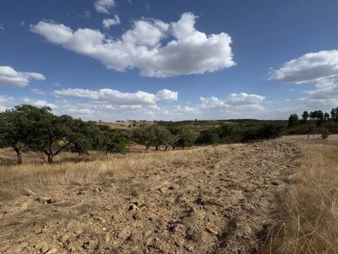 Monte Alentejano com Ruína e Vista Deslumbrante em Ourique