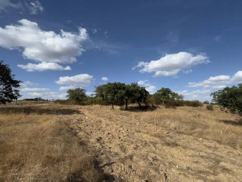 Monte Alentejano com Ruína e Vista Deslumbrante em Ourique