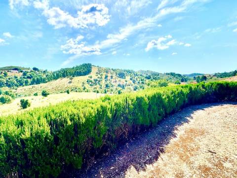 MONTE ALENTEJANO | 4,78 HECTARES | PERTO DO ALGARVE