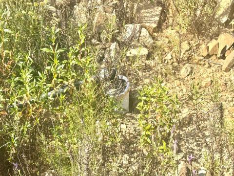 MONTE ALENTEJANO | 4,78 HECTARES | PERTO DO ALGARVE