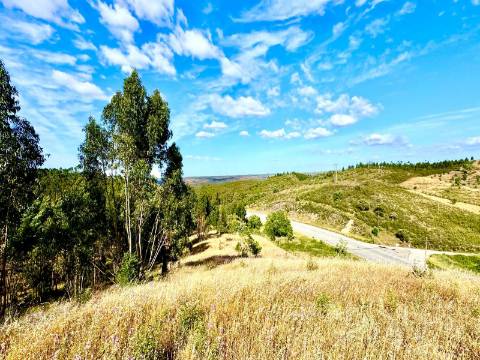 MONTE ALENTEJANO | 4,78 HECTARES | PERTO DO ALGARVE