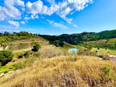 MONTE ALENTEJANO | 4,78 HECTARES | PERTO DO ALGARVE