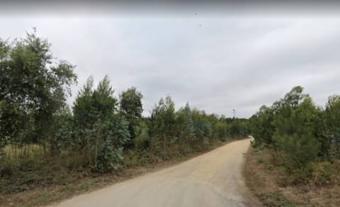 Terreno rústico no Vale Fontainhas, Ramalhal