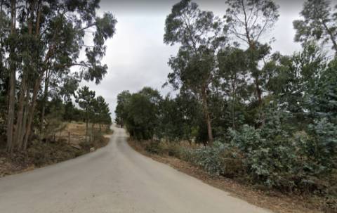 Terreno rústico no Vale Fontainhas, Ramalhal