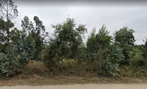 Terreno rústico no Vale Fontainhas, Ramalhal