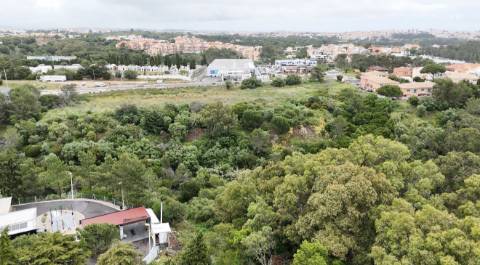Terreno com 4890m2 no Estoril