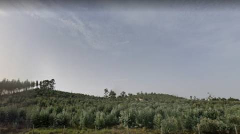 Terreno rústico com 62.440m2 no Pisão, Ramalhal