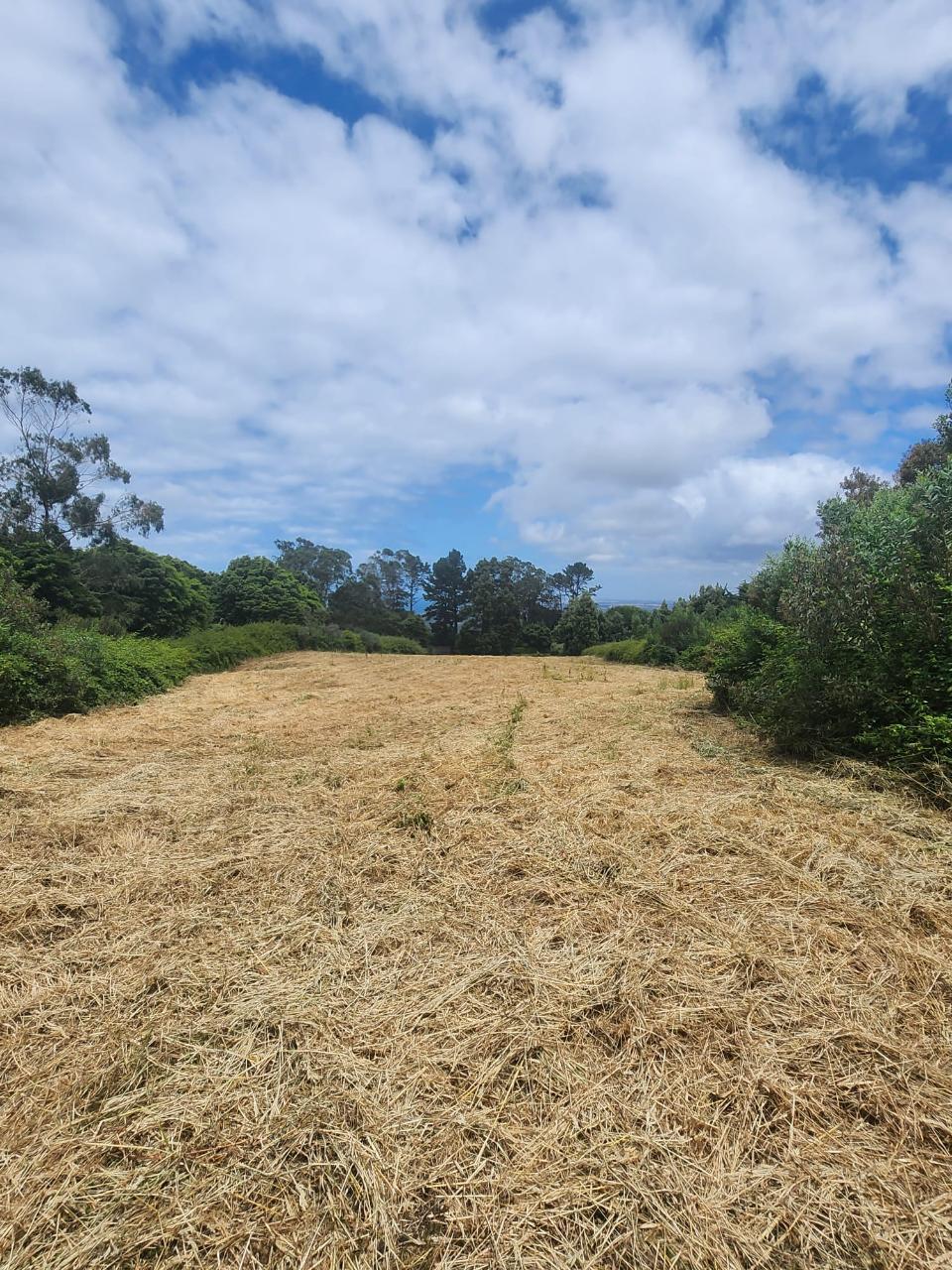 Terreno rústico com 11.680m2 em Colares