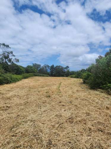 Terreno rústico com 11.680m2 em Colares