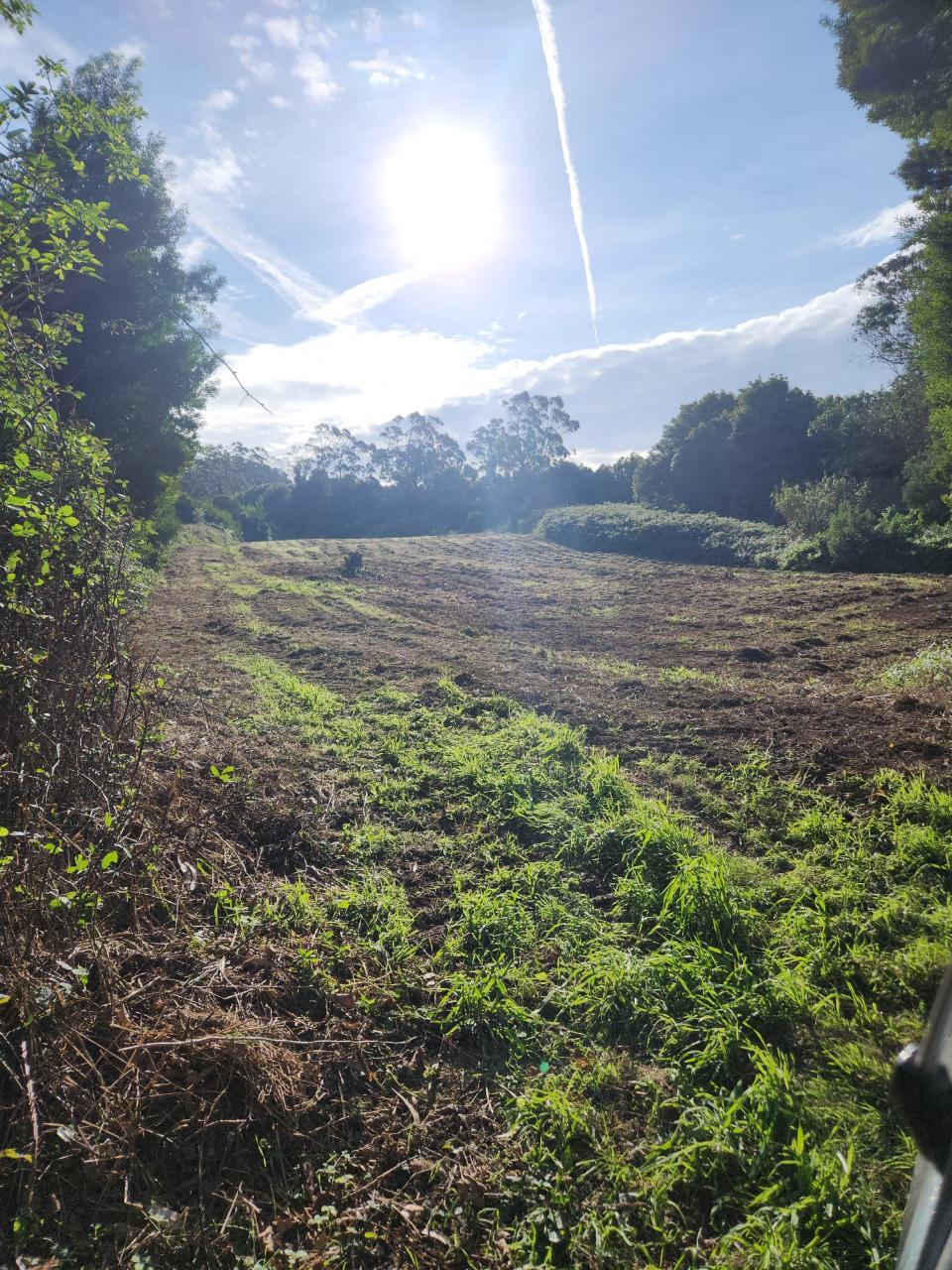 Terreno rústico com 11.680m2 em Colares