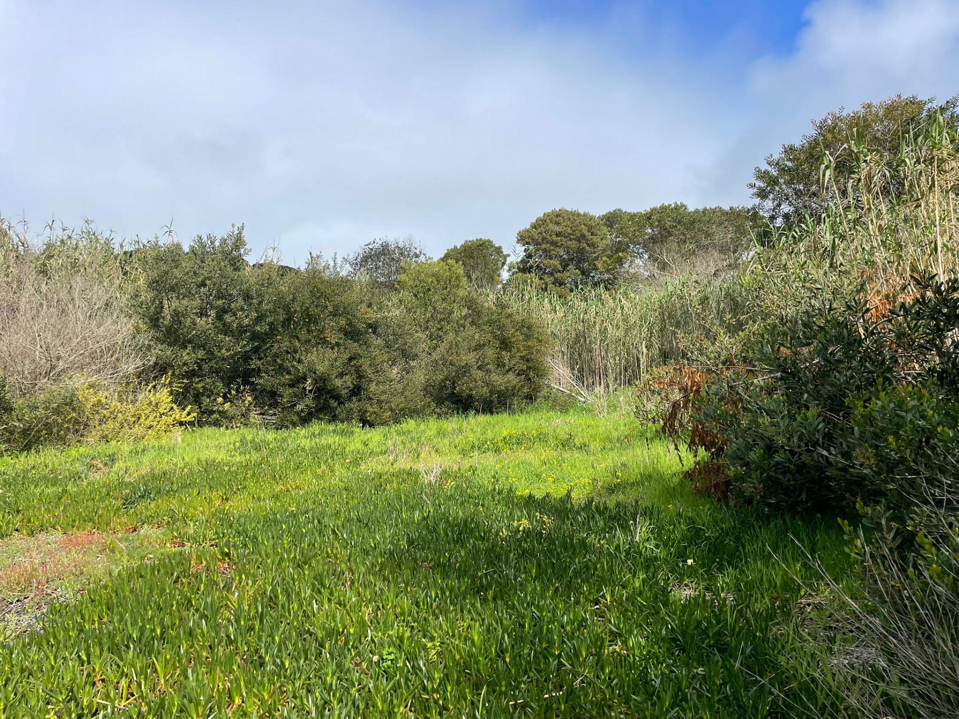 Terreno rústico com 3.160 m² localizado em Almoçageme