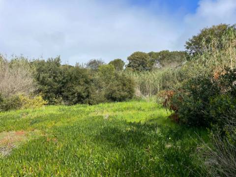 Terreno rústico com 3.160 m² localizado em Almoçageme