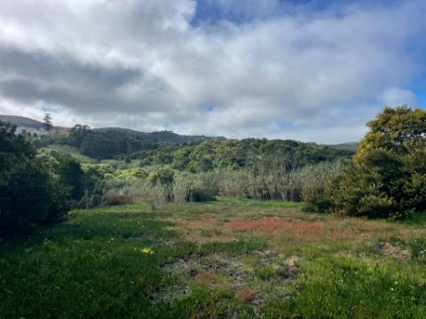 Terreno rústico com 3.160 m² localizado em Almoçageme