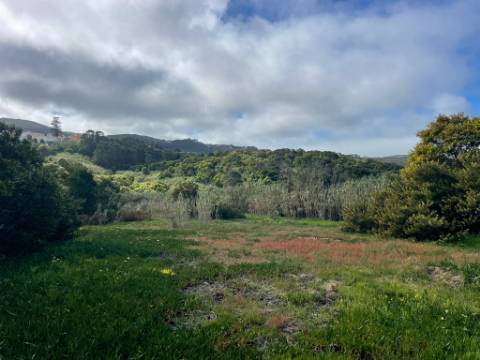 Terreno rústico com 3.160 m² localizado em Almoçageme