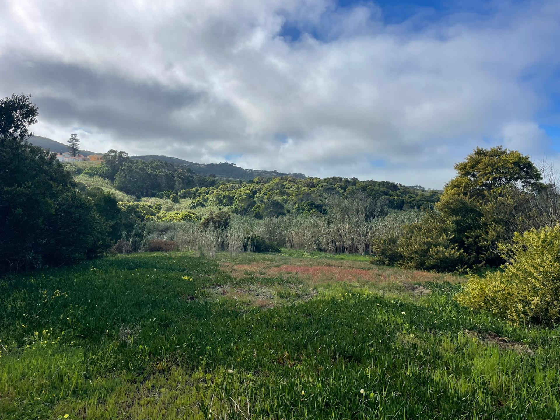 Terreno rústico com 3.160 m² localizado em Almoçageme