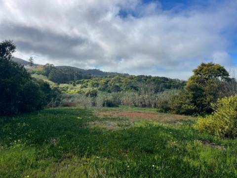 Terreno rústico com 3.160 m² localizado em Almoçageme