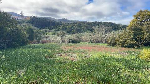 Terreno rústico com 3.160 m² localizado em Almoçageme