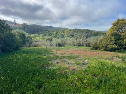 Terreno rústico com 3.160 m² localizado em Almoçageme