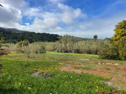 Terreno rústico com 3.160 m² localizado em Almoçageme
