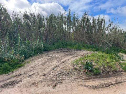 Terreno rústico com 3.160 m² localizado em Almoçageme