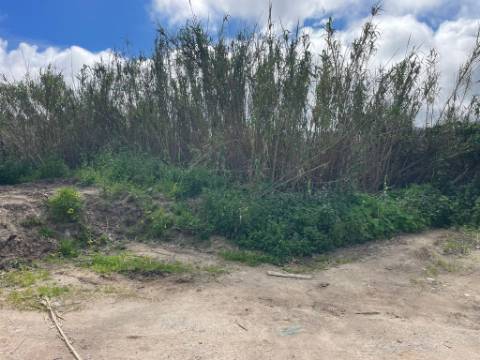 Terreno rústico com 3.160 m² localizado em Almoçageme