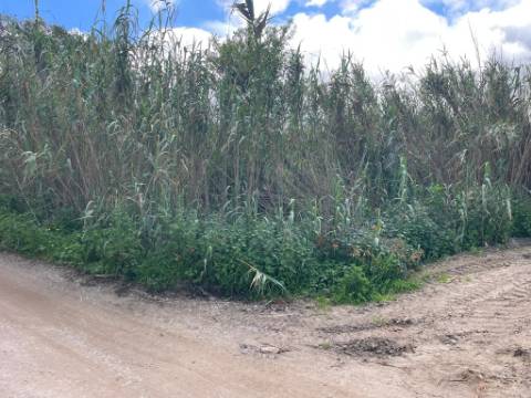 Terreno rústico com 3.160 m² localizado em Almoçageme