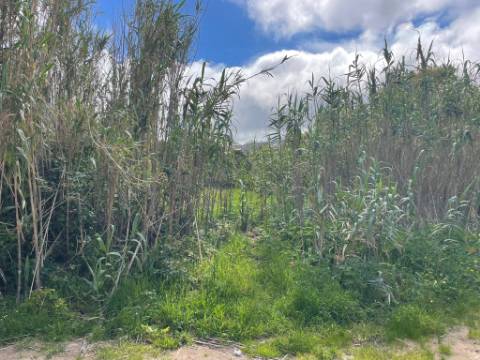 Terreno rústico com 3.160 m² localizado em Almoçageme