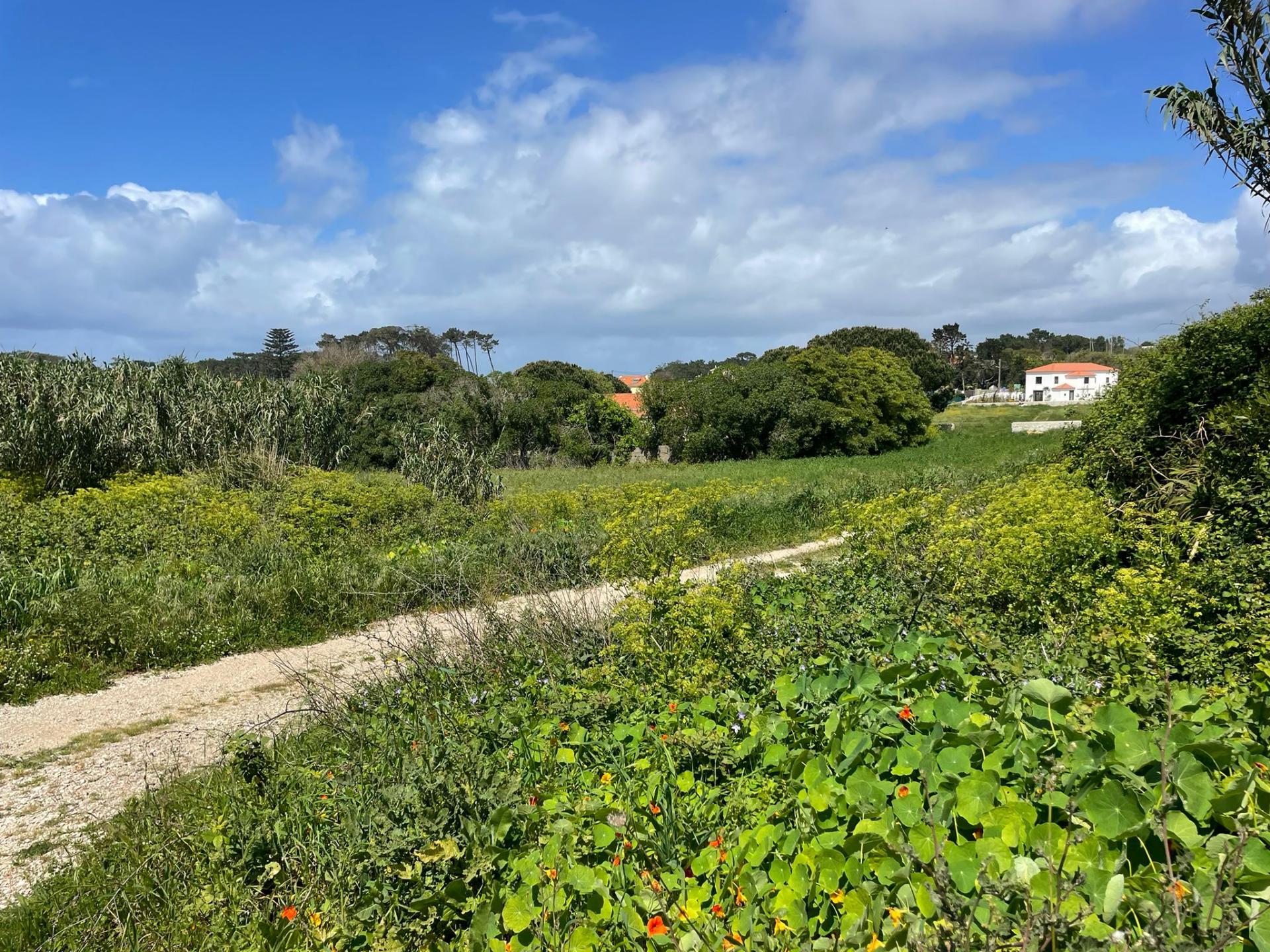 Terreno Urbano de 7.632 m² em Almocageme, junto à Serra de Sintra