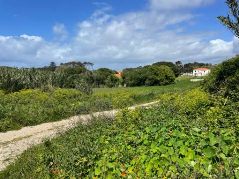 Terreno Urbano de 7.632 m² em Almocageme, junto à Serra de Sintra