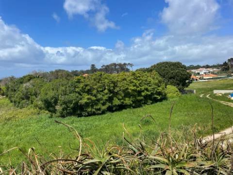 Terreno Urbano de 7.632 m² em Almocageme, junto à Serra de Sintra