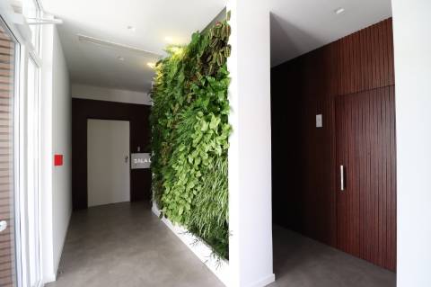 Escritório com 40m2 em Cascais
