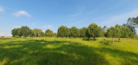 Terreno Gaveto com Estrada Nacional