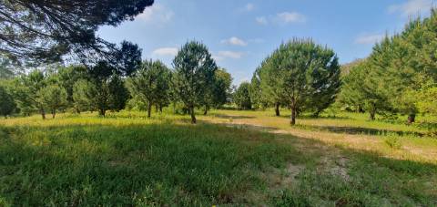 Terreno Gaveto com Estrada Nacional