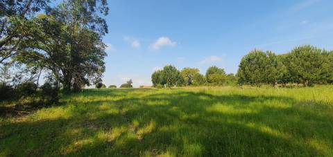 Terreno Gaveto com Estrada Nacional