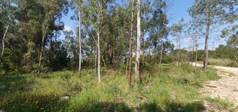 Terreno Gaveto com Estrada Nacional