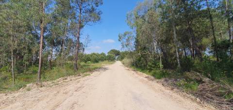 Terreno Gaveto com Estrada Nacional