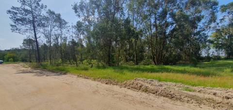 Terreno Gaveto com Estrada Nacional