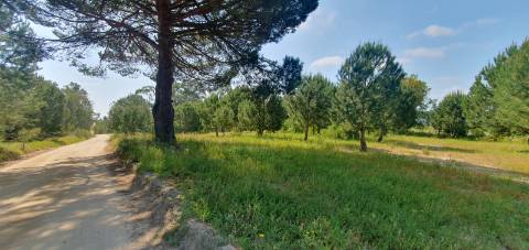 Terreno Gaveto com Estrada Nacional