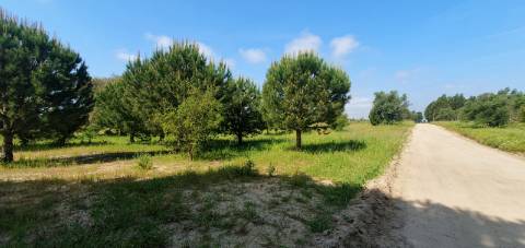 Terreno Gaveto com Estrada Nacional