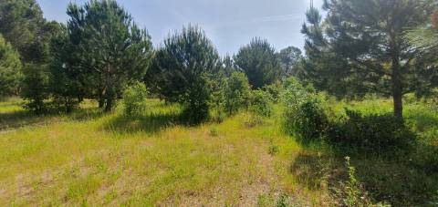 Terreno Gaveto com Estrada Nacional