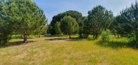 Terreno Gaveto com Estrada Nacional