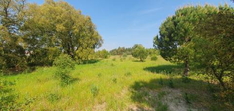 Terreno Gaveto com Estrada Nacional