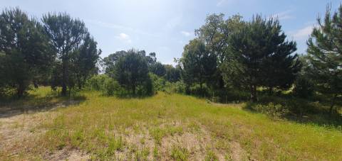 Terreno Gaveto com Estrada Nacional