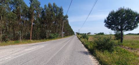 Terreno Gaveto com Estrada Nacional