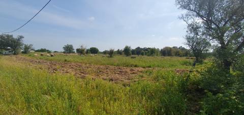 Terreno Gaveto com Estrada Nacional